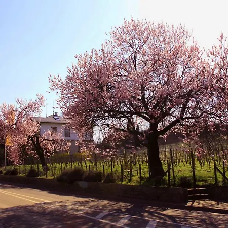 Lägenhet Kurpark-residenz *