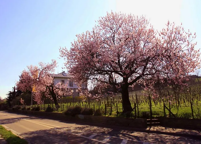 Lägenhet Kurpark-residenz *